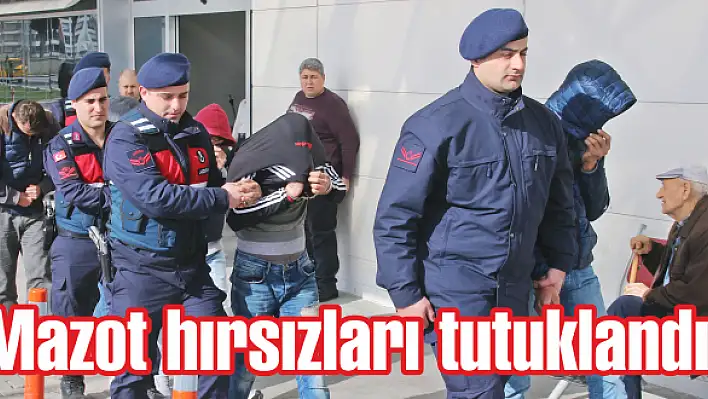 Mazot hırsızları tutuklandı!