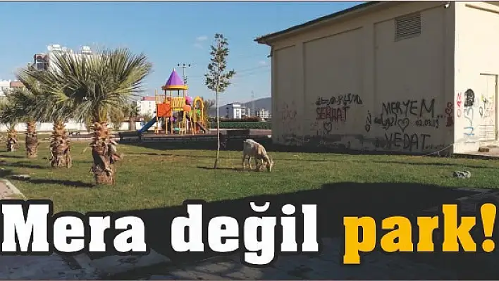 Mera değil park!