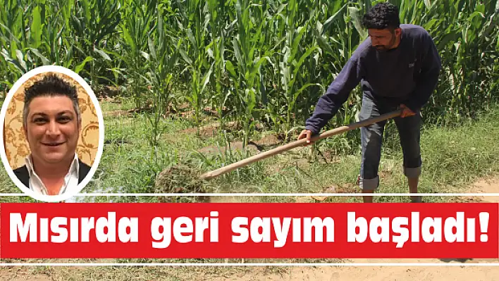 Mısırda geri sayım başladı!