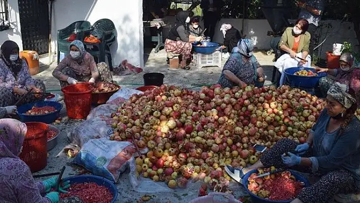 Nar ekşisi için hazırlık başladı