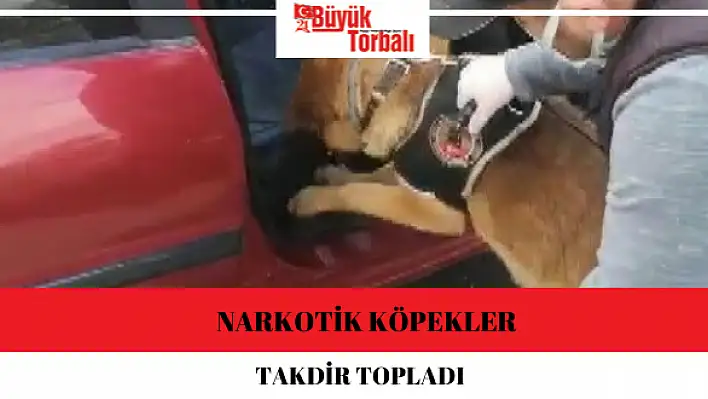 Narkotik köpekler takdir topladı