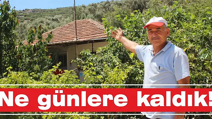 Ne günlere kaldık!