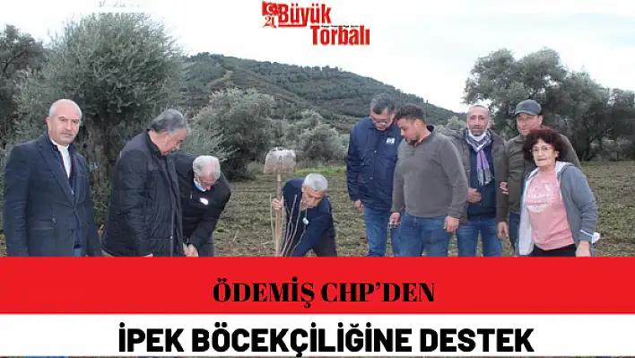 Ödemiş CHP'den İpek böcekçiliğine destek