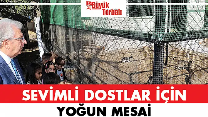 Ödemiş'te sevimli dostlar için yoğun mesai