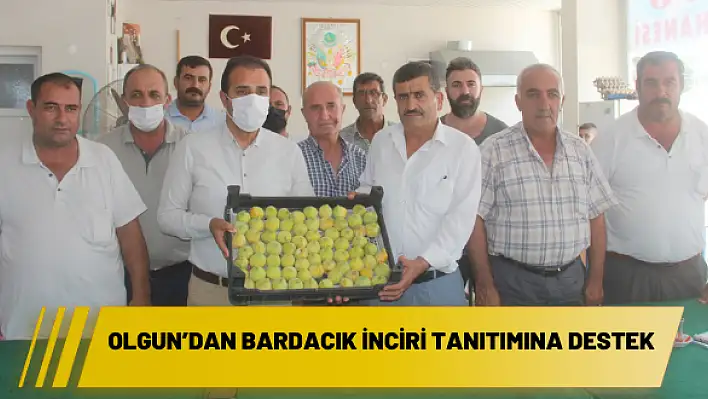 Olgun'dan bardacık inciri tanıtımına destek