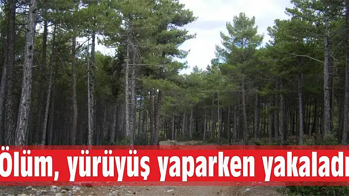 Ölüm, yürüyüş yaparken yakaladı