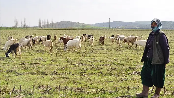 Onlar da köylü iş kadını