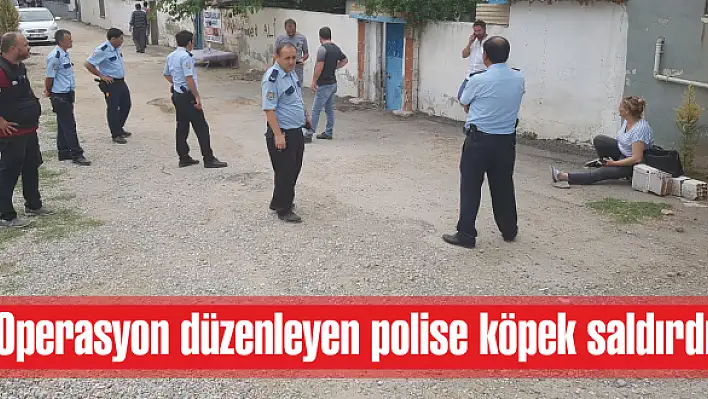 Operasyon düzenleyen polise köpek saldırdı