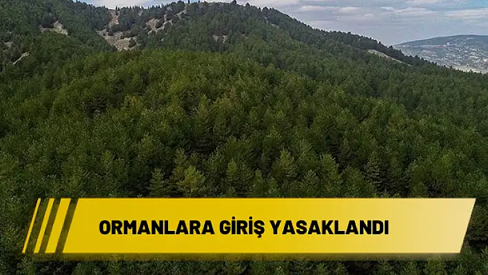 ORMANLARA GİRİŞ YASAKLANDI