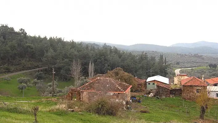 Ormanların arasında bir inci: Düverlik