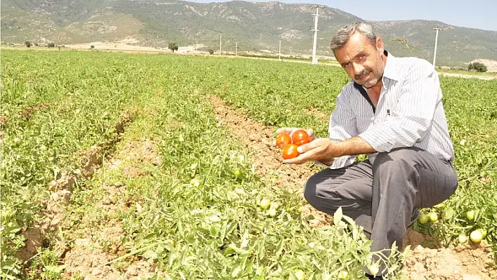 Ovada 'kırmızı' rekor!