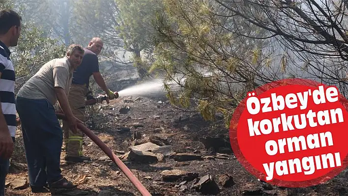 Özbey'de korkutan orman yangını