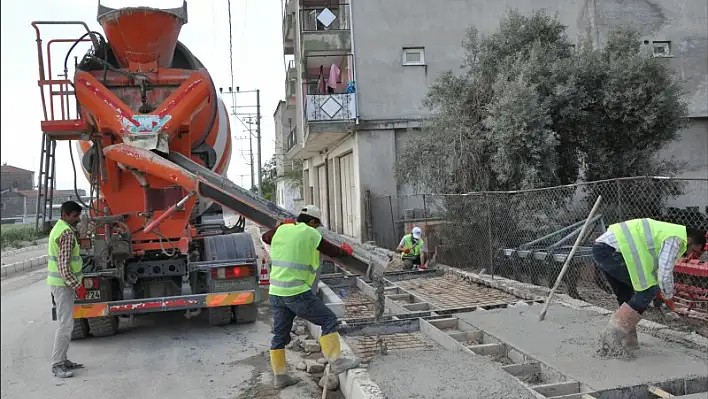 Pancar'ın çehresi değişecek