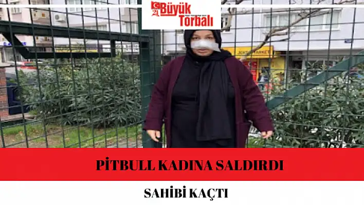 Pitbull kadına saldırdı, sahibi kaçtı