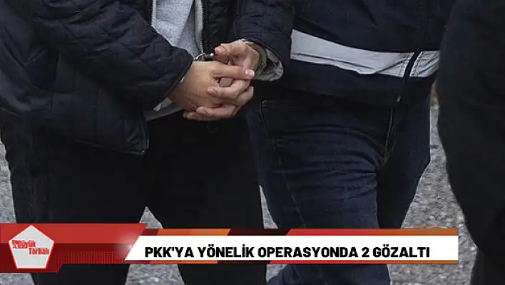 PKK’ya yönelik operasyonda 2 gözaltı