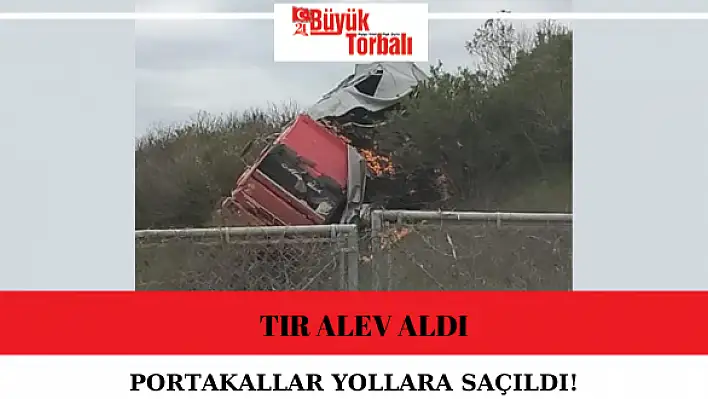 Portakallar yollara saçıldı!