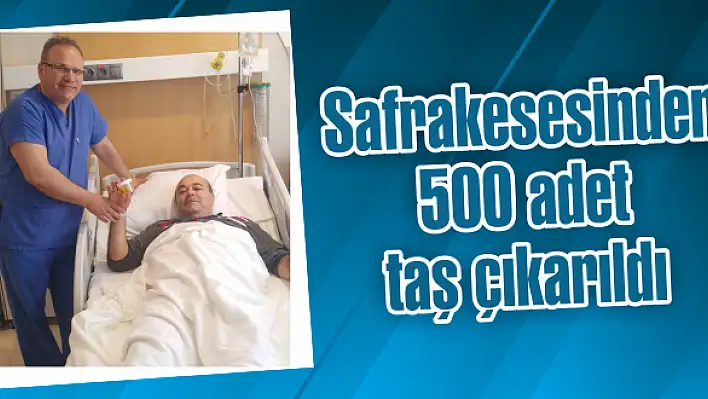 Safrakesesinden 500 adet taş çıkarıldı