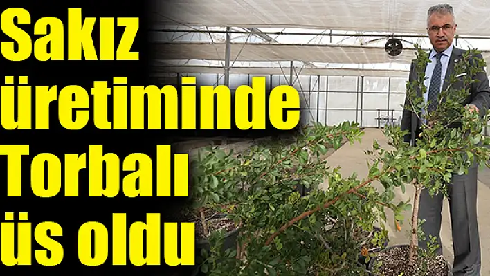 Sakız üretiminde Torbalı üs oldu