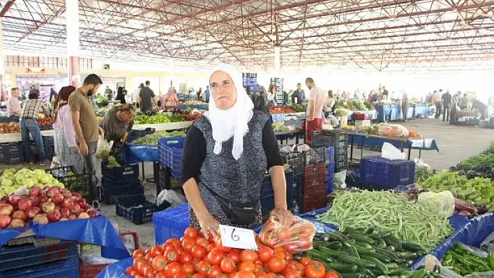 Salçalık domates cep yakıyor