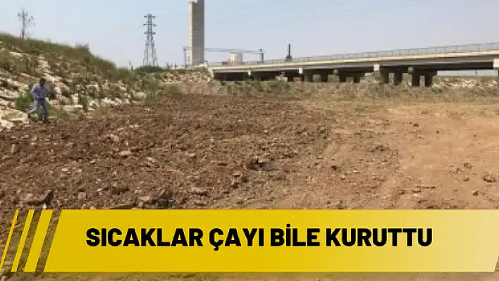 Sıcaklar çayı bile kuruttu