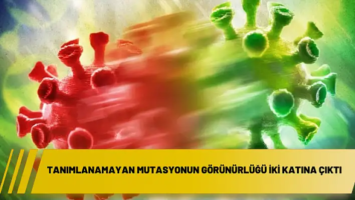 Tanımlanamayan mutasyonun görünürlüğü iki katına çıktı