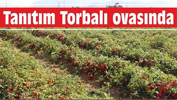 Tanıtım Torbalı ovasında