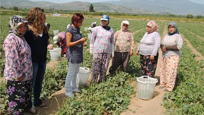 Tarım danışmanları ile ovada bilinçli üretim