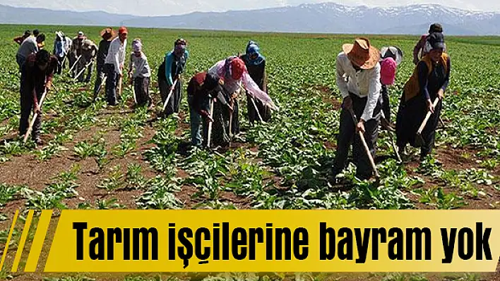 Tarım işçilerine bayram yok