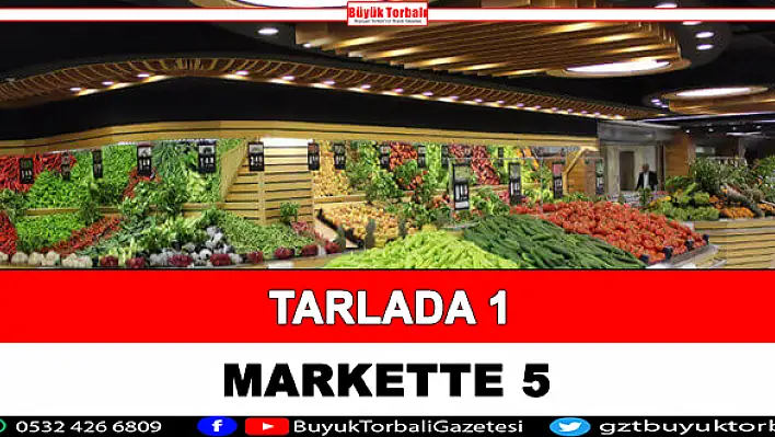 Tarlada 1 markette 5 