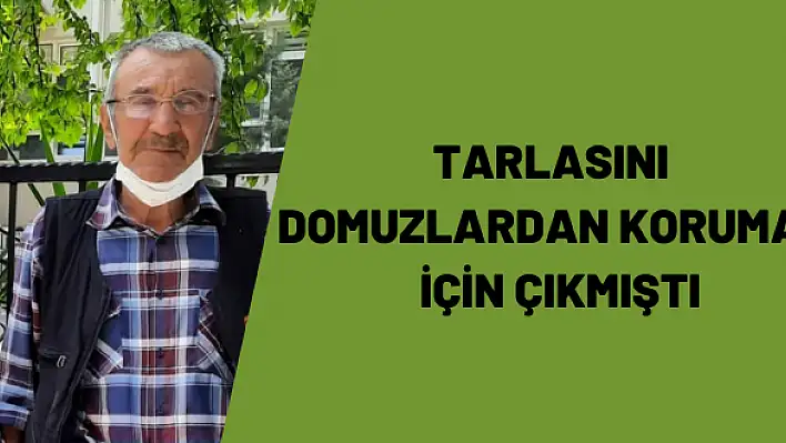 Tarlasını korumak için çıkmıştı