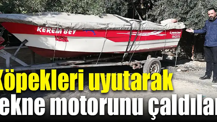 Tekne motorunu çaldılar