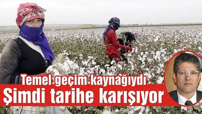 Temel geçim kaynağıydı Şimdi tarihe karışıyor