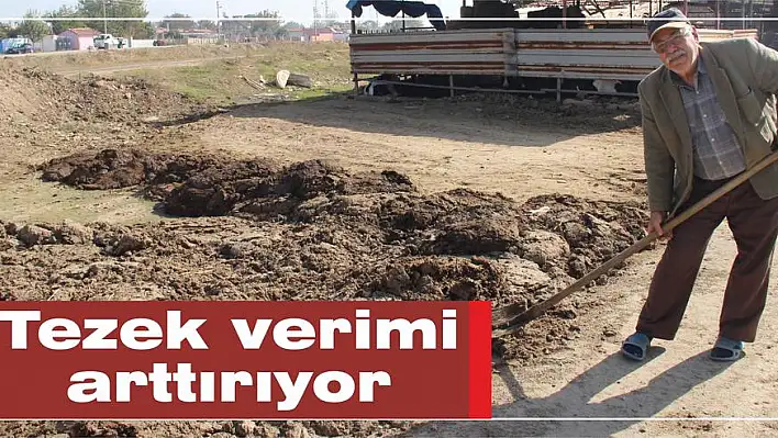 Tezek verimi arttırıyor