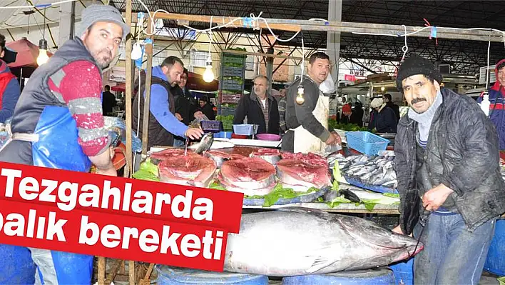 Tezgahlarda balık bereketi