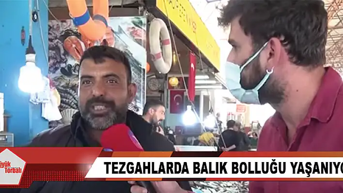 Tezgahlarda balık bolluğu yaşanıyor