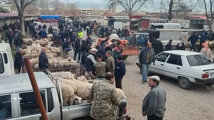 Tire hayvan pazarı geçici olarak kapatıldı