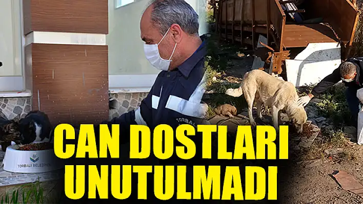 Torbalı Belediyesi yasakta can dostları unutmadı