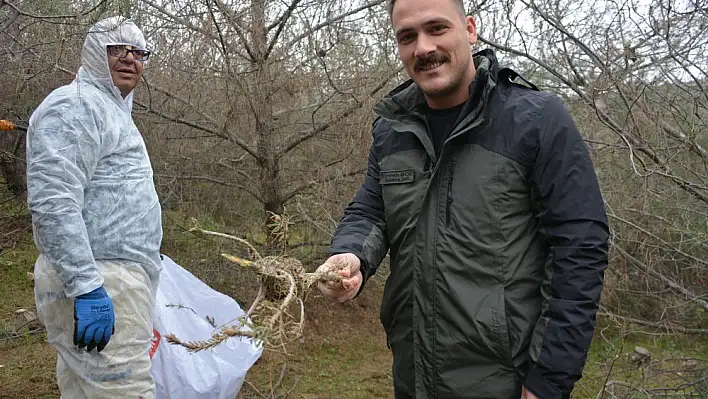 Torbalı Orman İşletme'den seferberlik