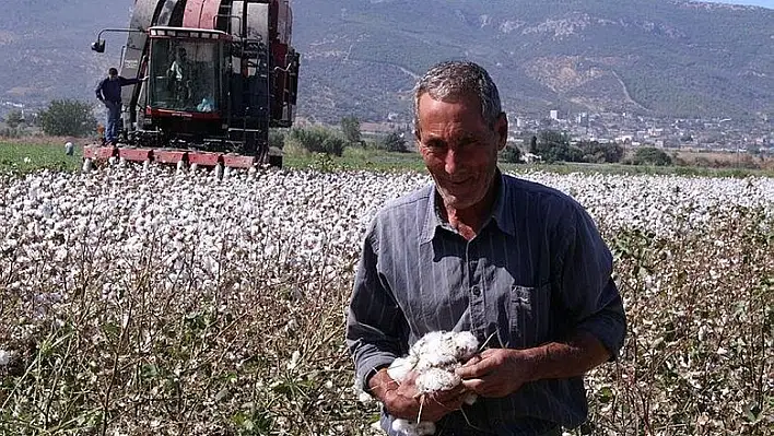 Torbalı Ovası pamukla zenginleşecek