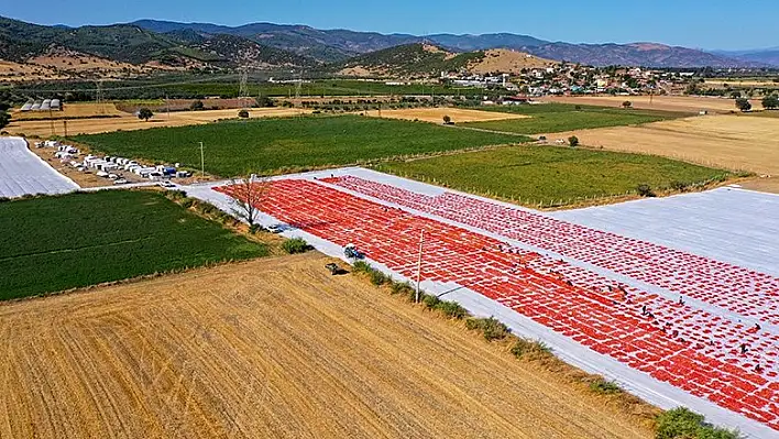 Torbalı Ovası'nda değişim zamanı