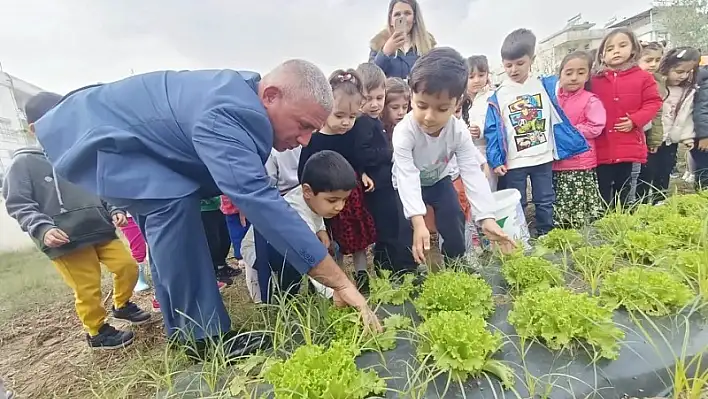 TORBALI’DA MİNİK ÖĞRENCİLER HASAT YAPTI