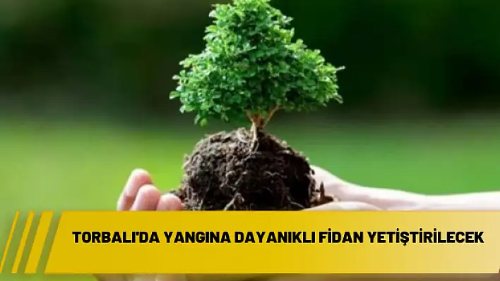 Torbalı’da yangına dayanıklı fidan yetiştirilecek