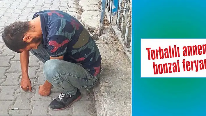 Torbalılı annenin bonzai feryadı