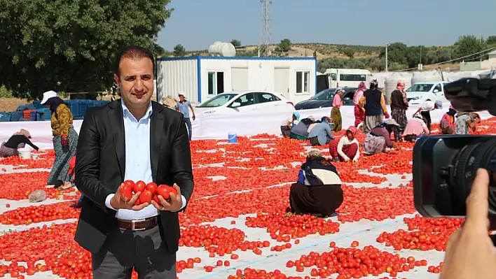 Torbalı'nın 3 ürününe coğrafi işaret