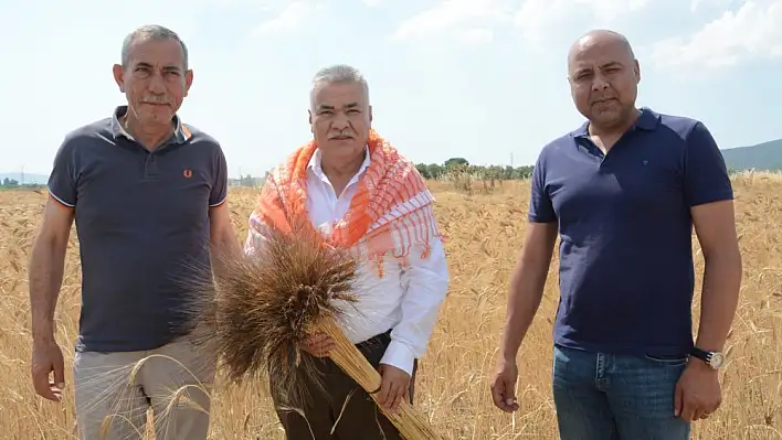 Torbalı'nın buğdayı Torbalı'nın sofrasında