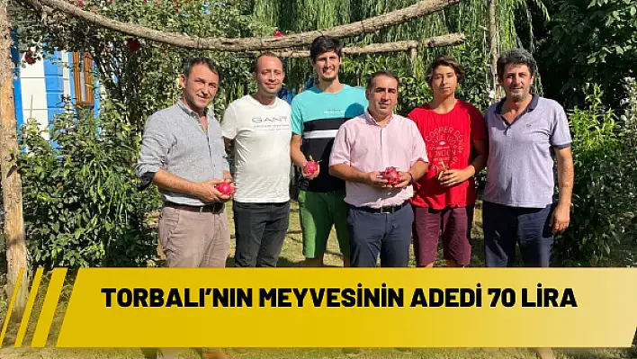 Torbalı'nın meyvesinin adedi 70 lira