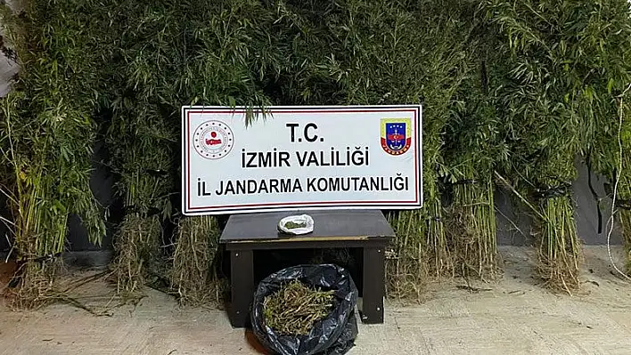 TORBALI'YA UYUŞTURUCU BASKINI