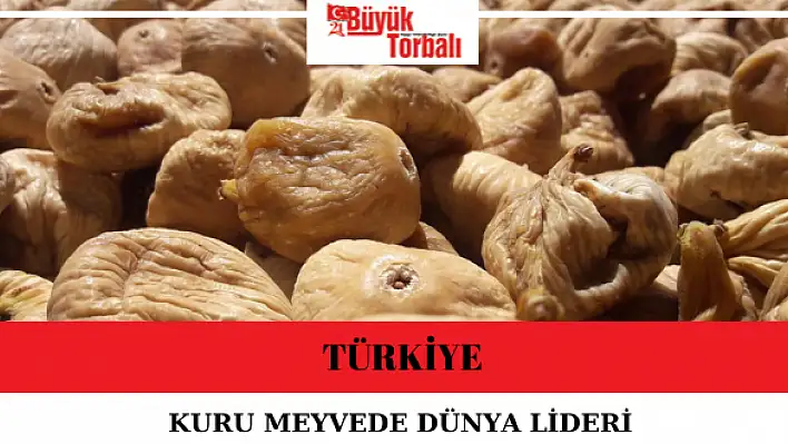 Türkiye kuru meyvede dünya lideri