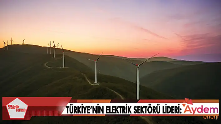 Türkiye'nin elektrik sektörü lideri: AYDEM