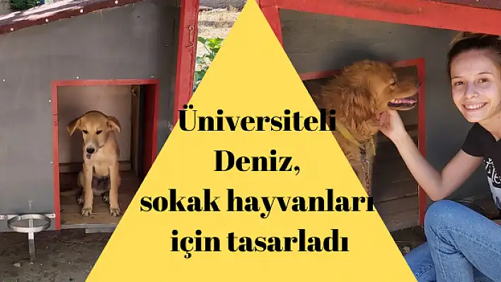 ÜNİVERSİTELİ DENİZ, SOKAK HAYVANLARI İÇİN TASARLADI